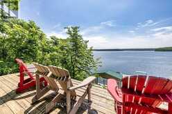 82 COW ISLAND | Otonabee-South Monaghan Ontario | Slide Image Seventeen