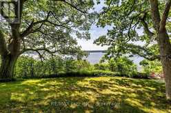 82 COW ISLAND | Otonabee-South Monaghan Ontario | Slide Image Nineteen