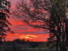 4071 HIGHWAY 35 | Kawartha Lakes Ontario | Slide Image Twenty-six