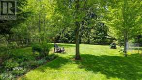 33740 HWY 62 HIGHWAY | Hastings Highlands Ontario | Slide Image Forty-three