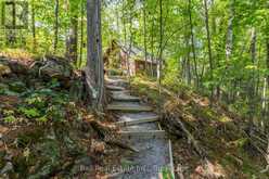 2476 COUNTY RD 46 | Havelock-Belmont-Methuen Ontario | Slide Image Thirty-five