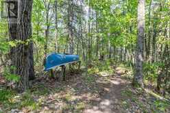 2476 COUNTY RD 46 | Havelock-Belmont-Methuen Ontario | Slide Image Thirty-seven