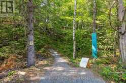 2476 COUNTY RD 46 | Havelock-Belmont-Methuen Ontario | Slide Image Thirty-six