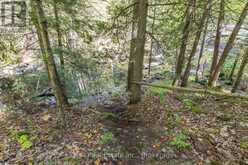 2476 COUNTY RD 46 | Havelock-Belmont-Methuen Ontario | Slide Image Thirty-eight