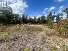 1872 WILLAN ROAD | North Kawartha Ontario | Slide Image Twelve