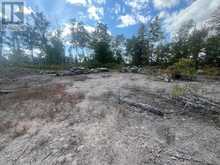 1872 WILLAN ROAD | North Kawartha Ontario | Slide Image Eight