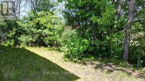 9 WILLIAMS DRIVE | Bancroft Ontario | Slide Image Forty-four