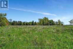 4778 COUNTY ROAD 8 | Prince Edward Ontario | Slide Image Twelve