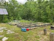 2848 COUNTY ROAD 36 | North Kawartha Ontario | Slide Image Thirty-one