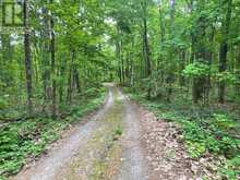 2848 COUNTY ROAD 36 | North Kawartha Ontario | Slide Image Thirty-three