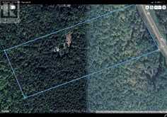 2848 COUNTY ROAD 36 | North Kawartha Ontario | Slide Image Thirty-seven