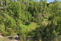 352 COUNTY ROAD 10 | Prince Edward Ontario | Slide Image Forty-seven