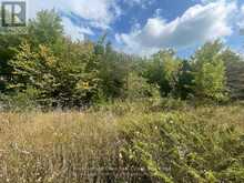 00 ADAMS-CUMMINGS ROAD | North Kawartha Ontario | Slide Image Ten