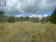 00 ADAMS-CUMMINGS ROAD | North Kawartha Ontario | Slide Image Four