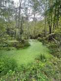 00 ADAMS-CUMMINGS ROAD | North Kawartha Ontario | Slide Image Seven