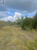 00 ADAMS-CUMMINGS ROAD | North Kawartha Ontario | Slide Image Nine