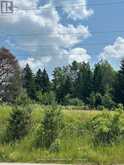 2 THOMAS STREET | Kawartha Lakes Ontario | Slide Image Five
