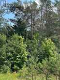 2 THOMAS STREET | Kawartha Lakes Ontario | Slide Image Nine