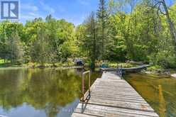 1021 SPENCER'S TRAIL | Minden Hills Ontario | Slide Image Thirty-one