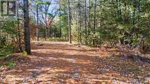 136 GLEN RIDGE ROAD | Marmora Ontario | Slide Image Twelve