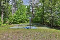 32 FIRE ROUTE 172 | North Kawartha Ontario | Slide Image Forty-five