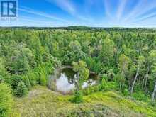 274 HIGHWAY 35 | Kawartha Lakes Ontario | Slide Image Thirty-five
