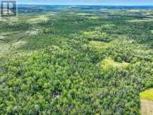 274 HIGHWAY 35 | Kawartha Lakes Ontario | Slide Image Thirty-eight
