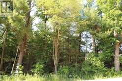494 TWIN SISTER LAKES ROAD | Marmora Ontario | Slide Image Eleven