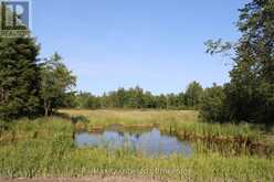 494 TWIN SISTER LAKES ROAD | Marmora Ontario | Slide Image Fifteen