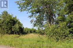 494 TWIN SISTER LAKES ROAD | Marmora Ontario | Slide Image One