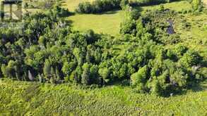 494 TWIN SISTER LAKES ROAD | Marmora Ontario | Slide Image Five