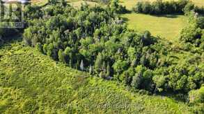 494 TWIN SISTER LAKES ROAD | Marmora Ontario | Slide Image Seven