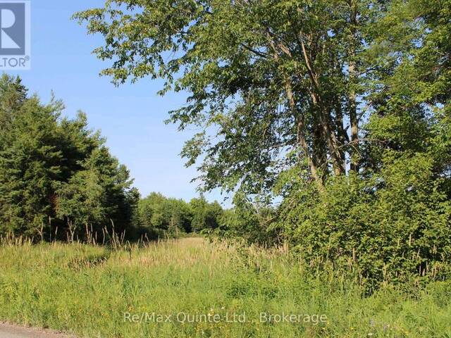 494 TWIN SISTER LAKES ROAD Marmora Ontario, K0K 2M0 - Vacant Land For Sale