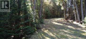6107 BUCKSHOT LAKE ROAD | North Frontenac Ontario | Slide Image Ten