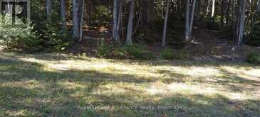 6107 BUCKSHOT LAKE ROAD | North Frontenac Ontario | Slide Image Eleven