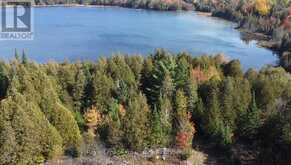 6107 BUCKSHOT LAKE ROAD | North Frontenac Ontario | Slide Image Seventeen