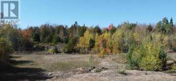 6107 BUCKSHOT LAKE ROAD | North Frontenac Ontario | Slide Image Eight