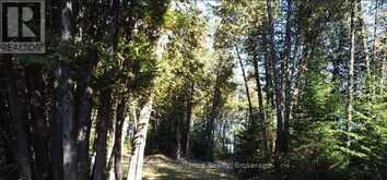 6107 BUCKSHOT LAKE ROAD | North Frontenac Ontario | Slide Image Nine