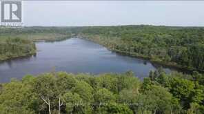 1026 WATERWORTH LANE | North Frontenac Ontario | Slide Image Thirteen