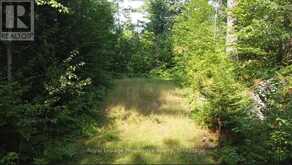 1026 WATERWORTH LANE | North Frontenac Ontario | Slide Image Six
