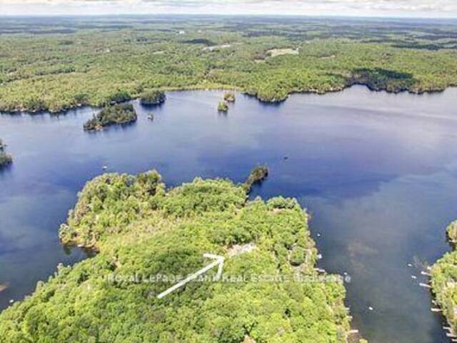 50 FIRE ROUTE 41 North Kawartha Ontario, K0L 2H0 - 4 Bedrooms Home For Sale