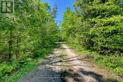 75 BEAVER DRIVE | Coboconk Ontario | Slide Image Ten