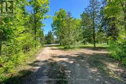 75 BEAVER DRIVE | Coboconk Ontario | Slide Image Eleven