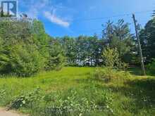 836 LOT 39 INDIAN POINT ROAD | Coboconk Ontario | Slide Image Four