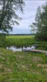 5497 COUNTY RD 46 | Havelock-Belmont-Methuen Ontario | Slide Image Twenty-one