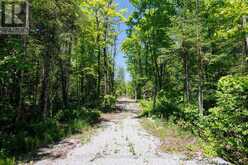 0 PEARCE ROAD | Kawartha Lakes Ontario | Slide Image Thirty-five