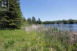 0 PEARCE ROAD | Kawartha Lakes Ontario | Slide Image Twenty-nine