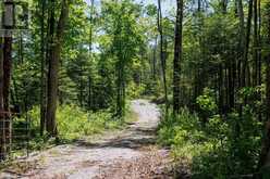 0 PEARCE ROAD | Kawartha Lakes Ontario | Slide Image Thirty-six