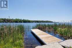 0 PEARCE ROAD | Kawartha Lakes Ontario | Slide Image Twenty-seven