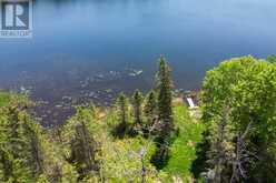 0 PEARCE ROAD | Kawartha Lakes Ontario | Slide Image Two